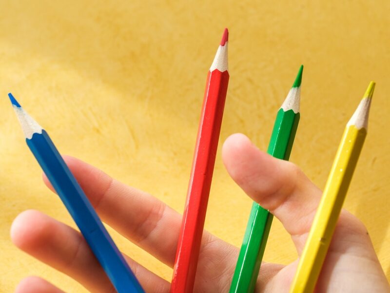 Best Budget Friendly Colored Pencils for Beginners
