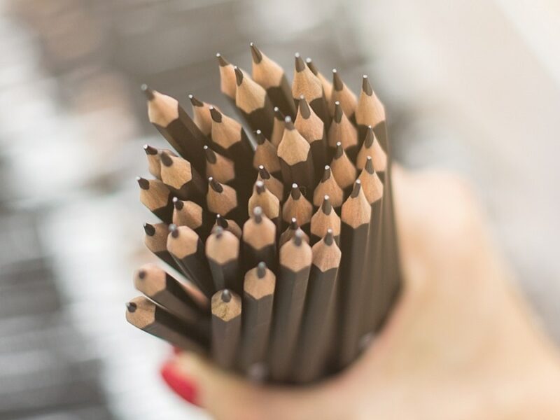 Seahorse Pencil Packaging Options for Organized Storage