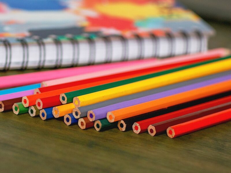 Best Wooden Pencils for Schools Compared and Ranked